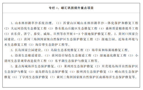 【資訊】山東省人民政府發(fā)布《山東省碳達(dá)峰實(shí)施方案》(圖4)